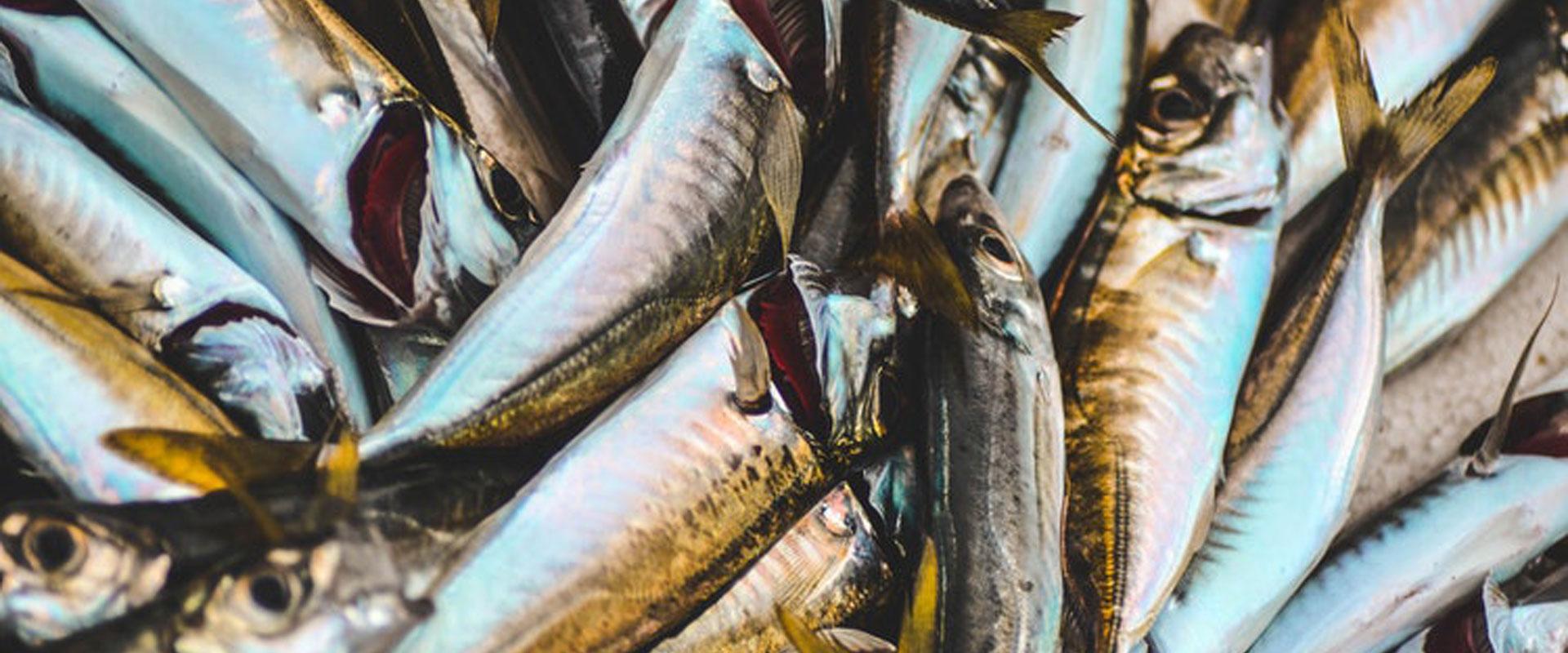 restaurant in catania