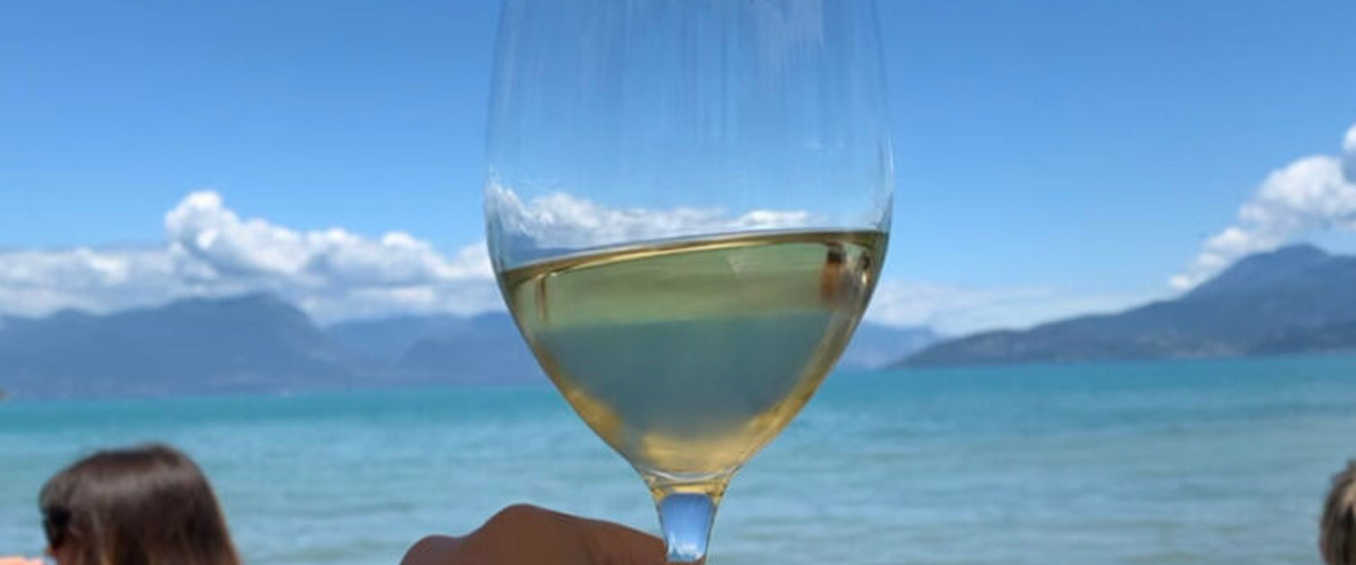 visiting a wine cellar