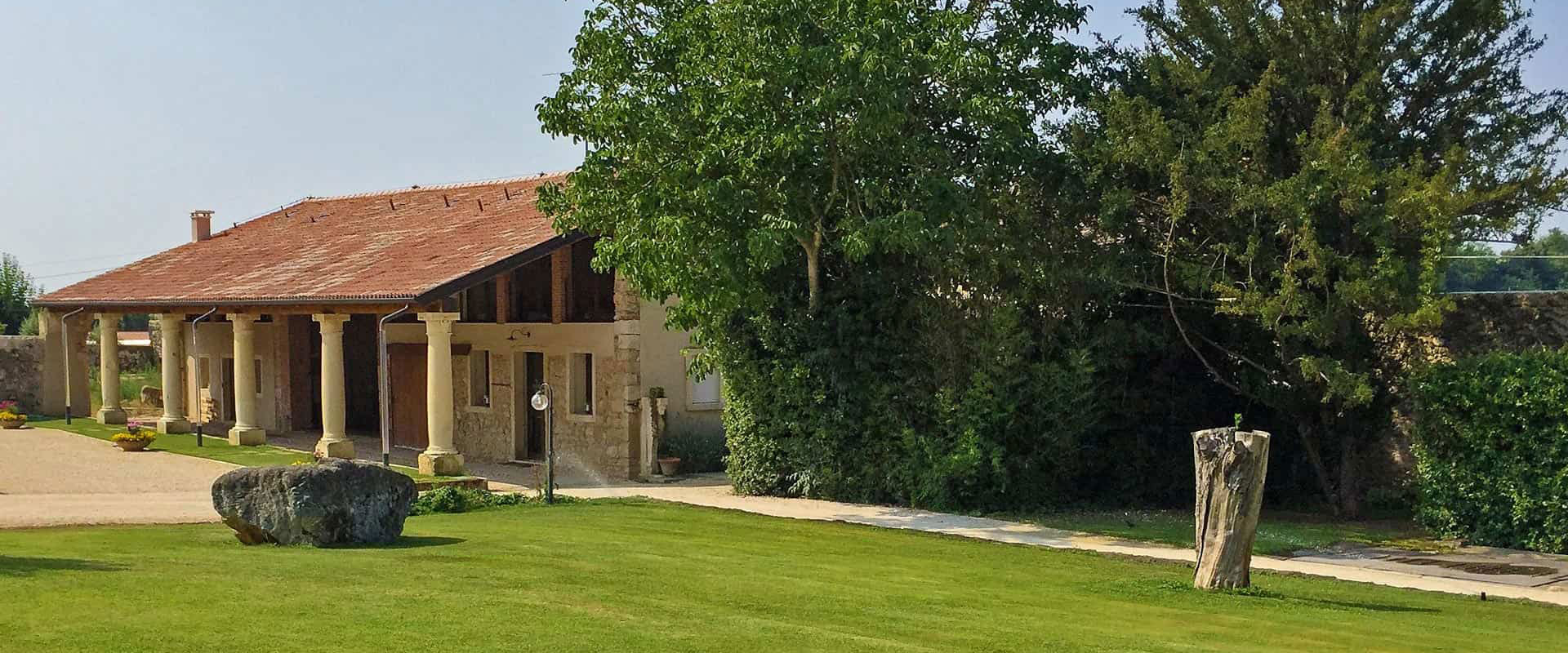 vini biologici vicentino