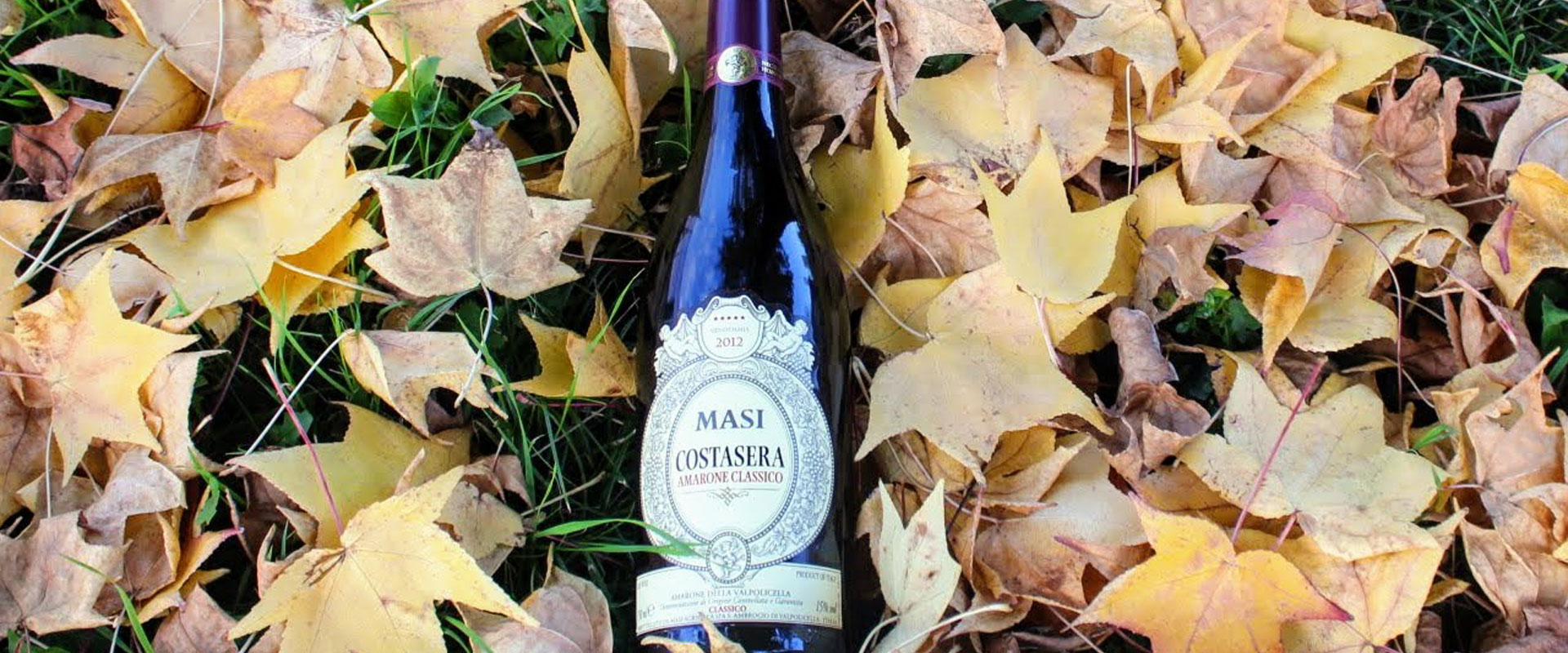 amarone valpolicella