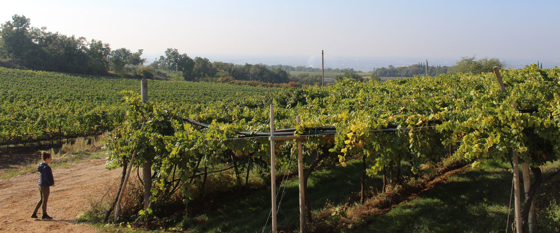 metodo classico vicenza