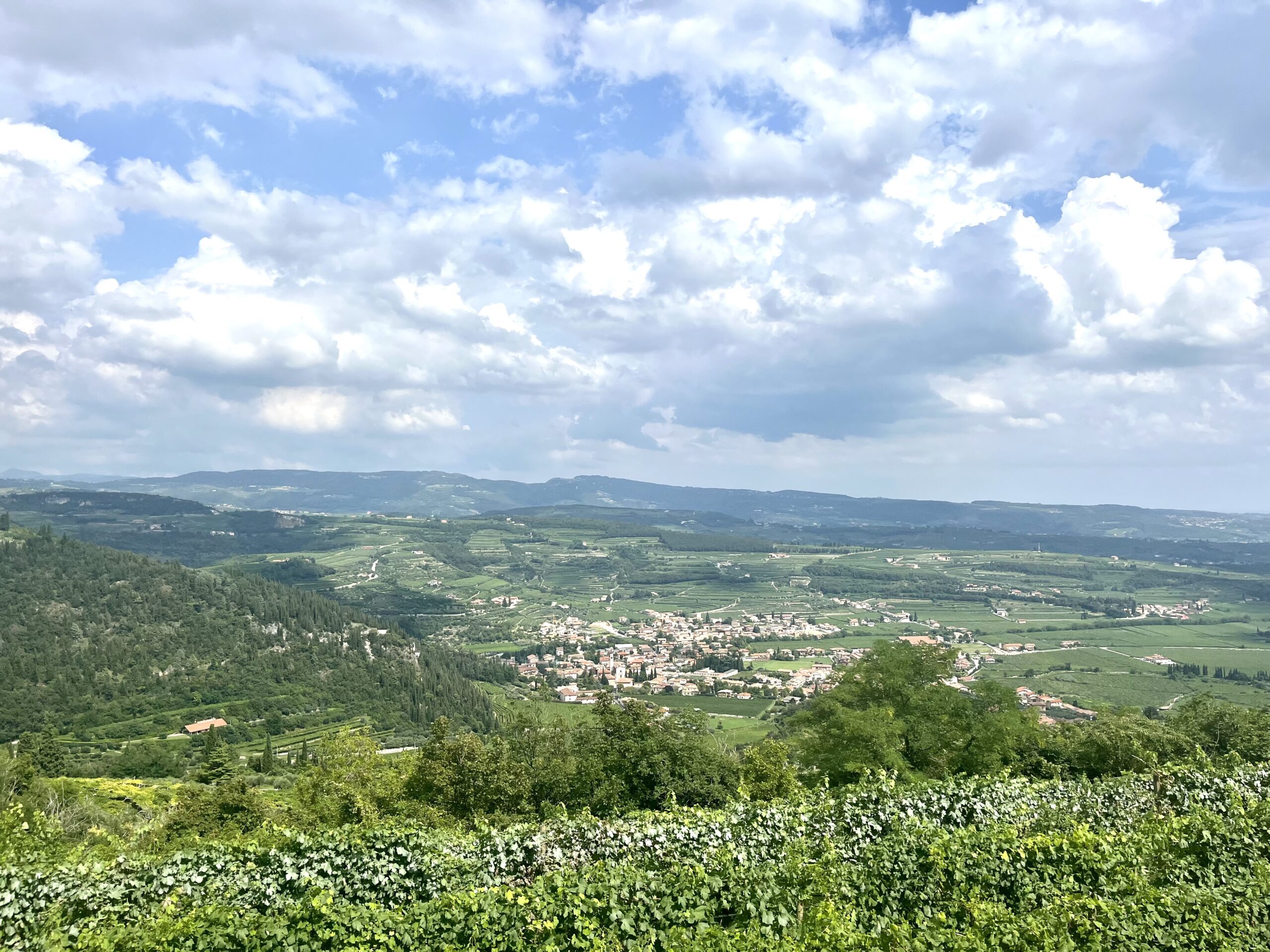 valpolicella_allegrini