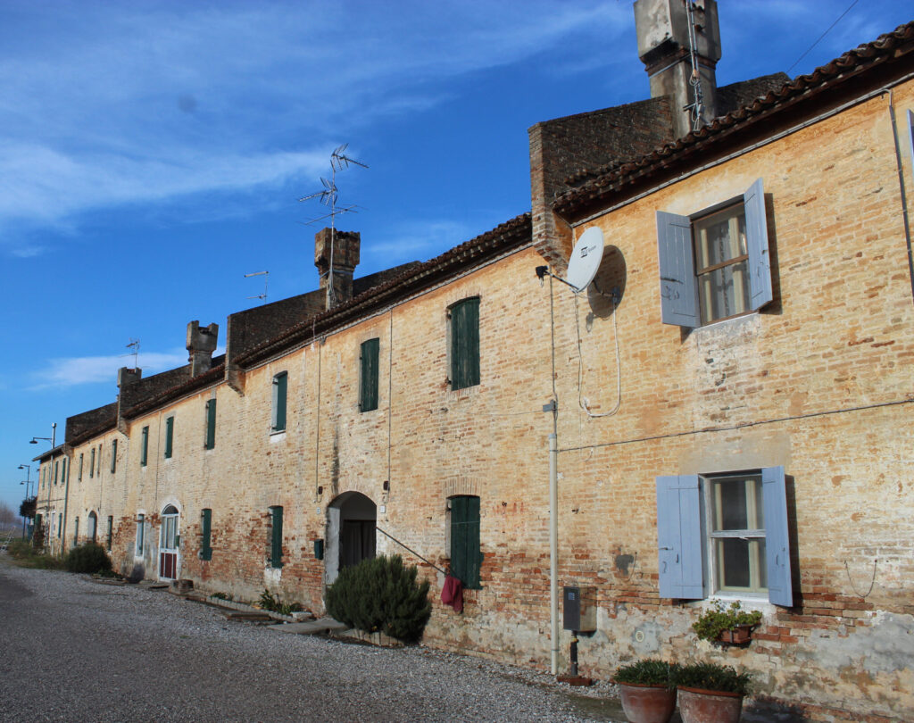 campo delle procurativi