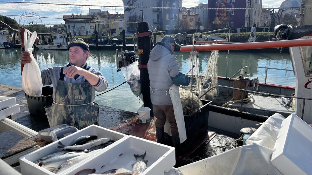 Port of Caorle Livenza
